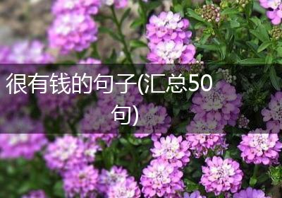 很有钱的句子(汇总50句)