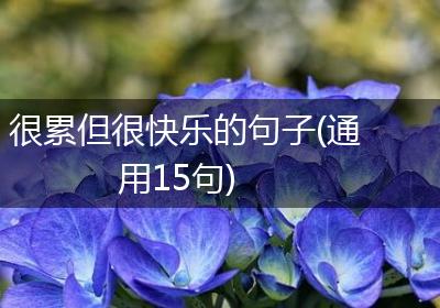 很累但很快乐的句子(通用15句)