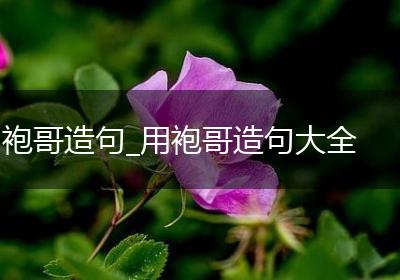 袍哥造句_用袍哥造句大全