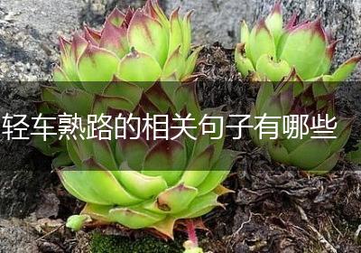 轻车熟路的相关句子有哪些