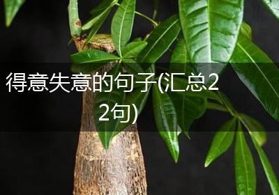 得意失意的句子(汇总22句)