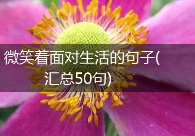 微笑着面对生活的句子(汇总50句)