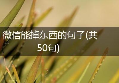 微信能掉东西的句子(共50句)