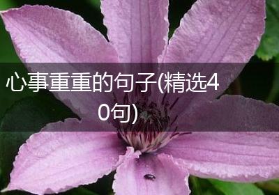 心事重重的句子(精选40句)