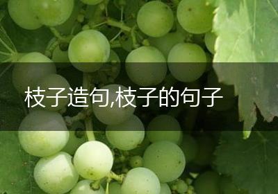 枝子造句,枝子的句子