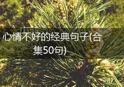 心情不好的经典句子(合集50句)