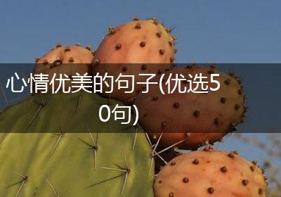 心情优美的句子(优选50句)