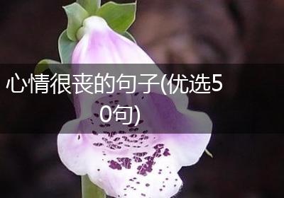 心情很丧的句子(优选50句)