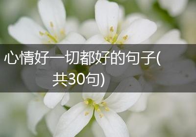 心情好一切都好的句子(共30句)