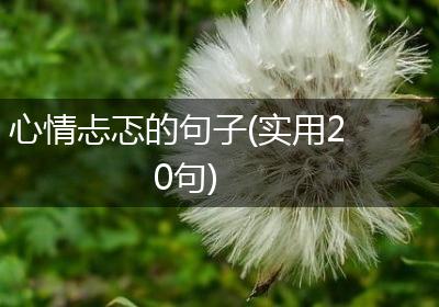 心情忐忑的句子(实用20句)