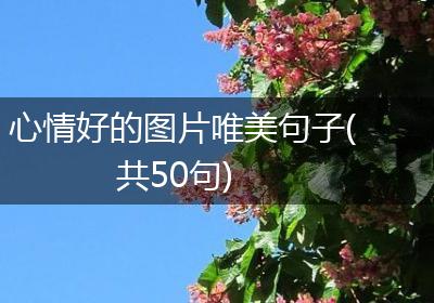 心情好的图片唯美句子(共50句)
