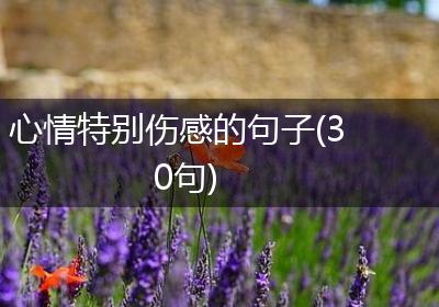 心情特别伤感的句子(30句)