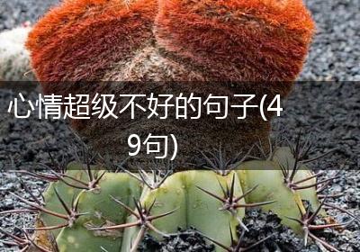 心情超级不好的句子(49句)