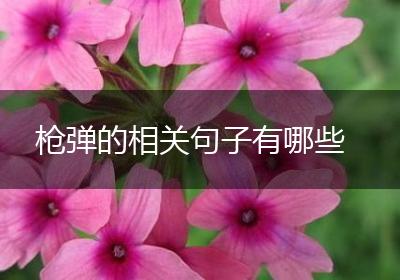 枪弹的相关句子有哪些