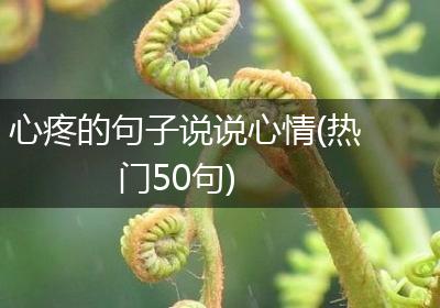心疼的句子说说心情(热门50句)