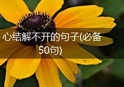 心结解不开的句子(必备50句)