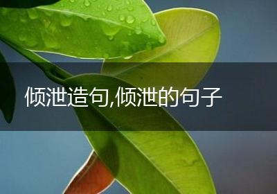 倾泄造句,倾泄的句子
