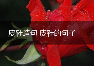皮鞋造句 皮鞋的句子