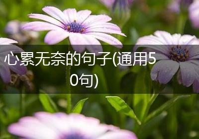 心累无奈的句子(通用50句)