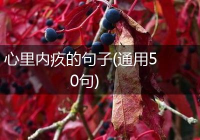 心里内疚的句子(通用50句)
