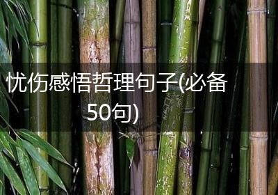忧伤感悟哲理句子(必备50句)