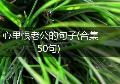 心里恨老公的句子(合集50句)