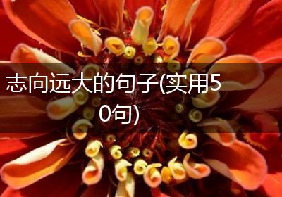 志向远大的句子(实用50句)