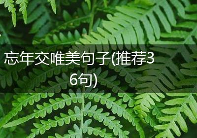 忘年交唯美句子(推荐36句)
