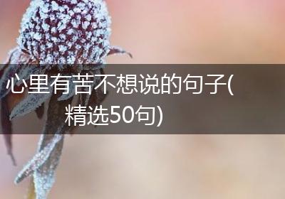 心里有苦不想说的句子(精选50句)