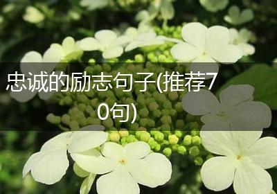 忠诚的励志句子(推荐70句)