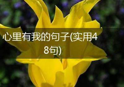 心里有我的句子(实用48句)