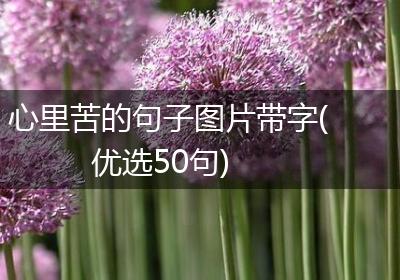 心里苦的句子图片带字(优选50句)