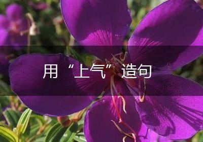 用“上气”造句