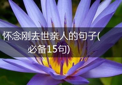 怀念刚去世亲人的句子(必备15句)