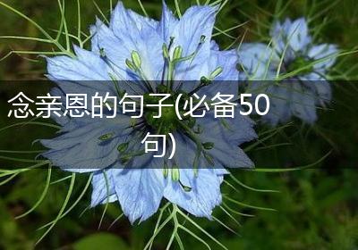 念亲恩的句子(必备50句)