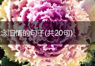 念旧情的句子(共20句)