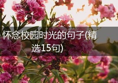 怀念校园时光的句子(精选15句)