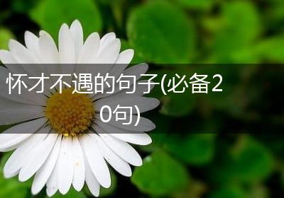 怀才不遇的句子(必备20句)