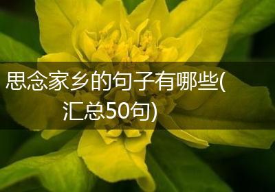 思念家乡的句子有哪些(汇总50句)