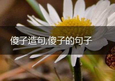 傻子造句,傻子的句子