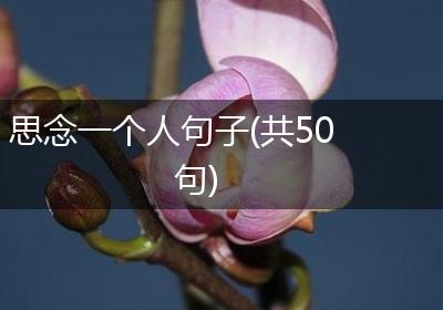 思念一个人句子(共50句)