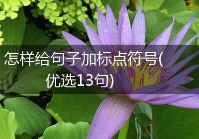 怎样给句子加标点符号(优选13句)