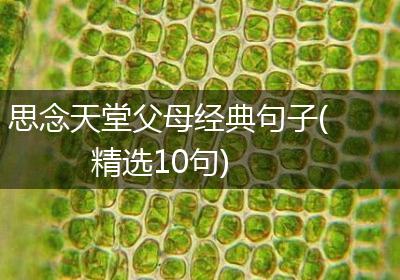 思念天堂父母经典句子(精选10句)