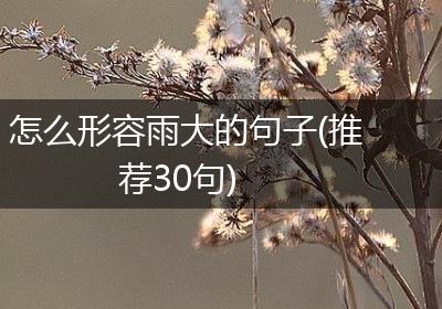 怎么形容雨大的句子(推荐30句)