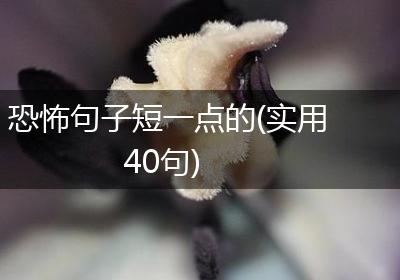 恐怖句子短一点的(实用40句)