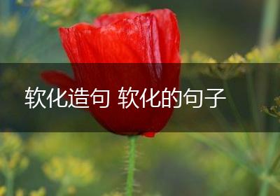 软化造句 软化的句子