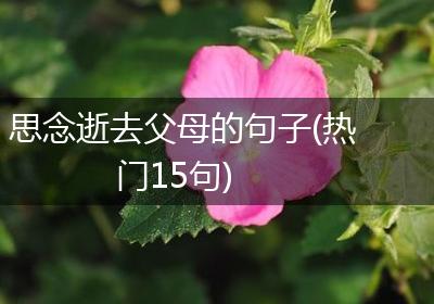 思念逝去父母的句子(热门15句)
