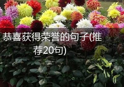 恭喜获得荣誉的句子(推荐20句)