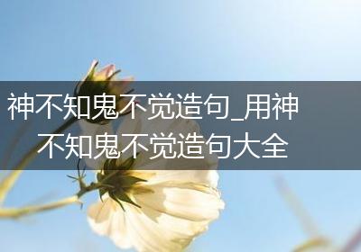 神不知鬼不觉造句_用神不知鬼不觉造句大全