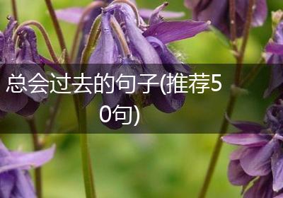 总会过去的句子(推荐50句)